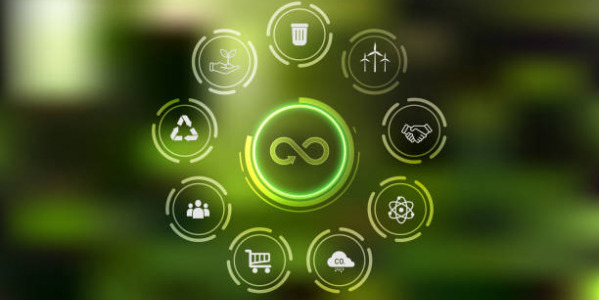 La Sostenibilidad y la Economía Circular: La Necesidad de un Cambio de Modelo